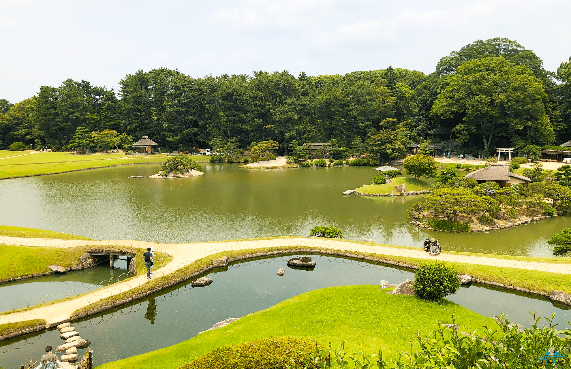 沢の池