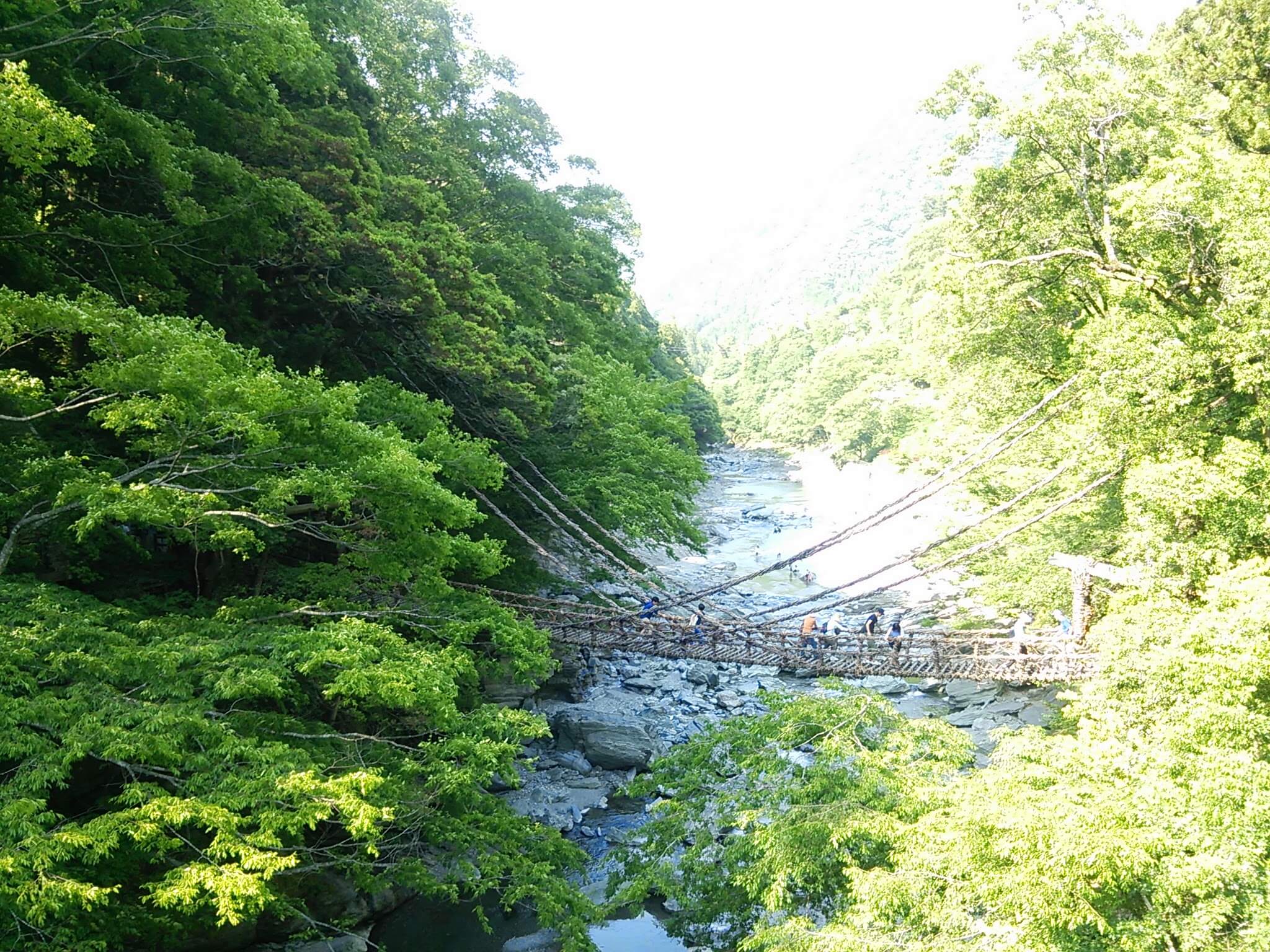 祖谷のかずら橋