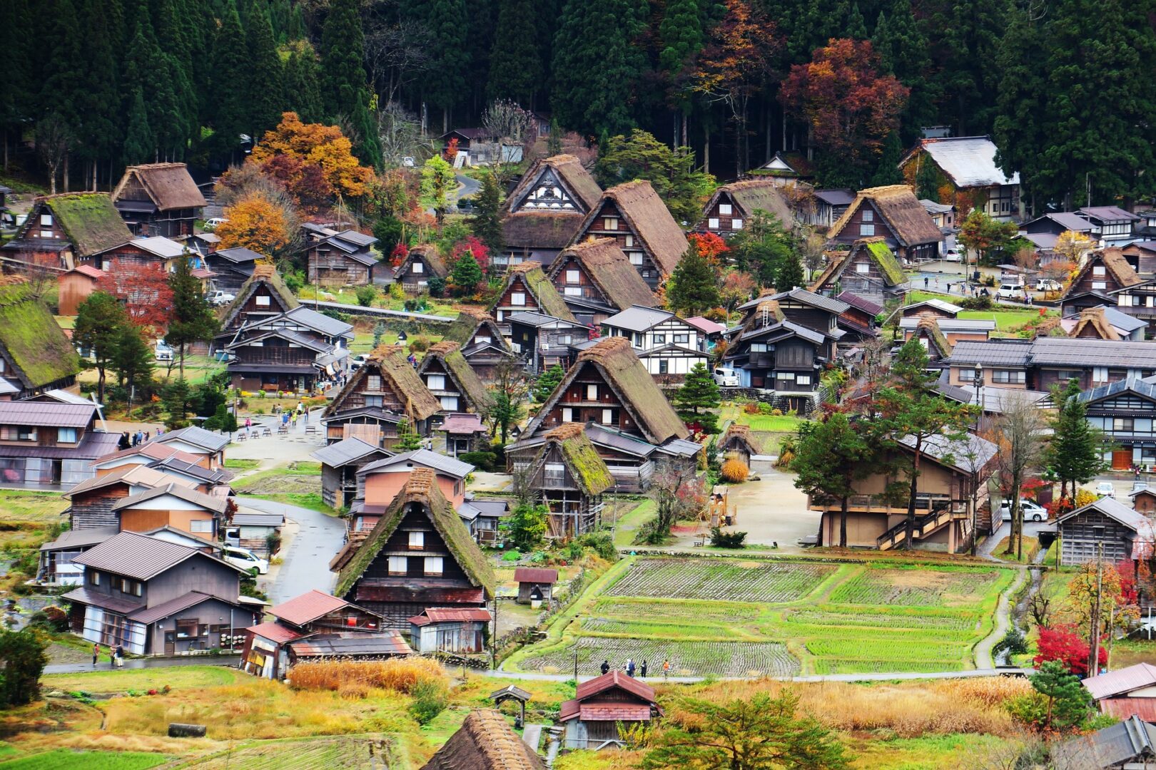 白川郷・城山展望台